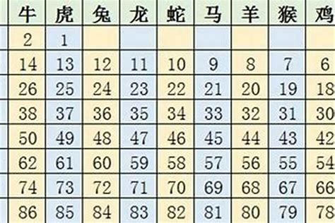 64歲生肖2023|生肖表2023年 岁数生肖表2023